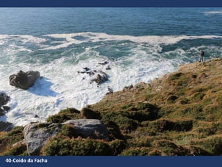 40-Coído da Facha
 