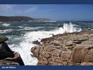 Seo de Niñóns
 