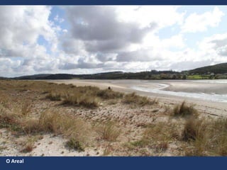 O Areal
 