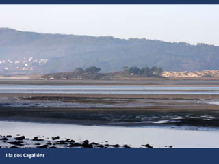 Illa dos Cagallóns
 