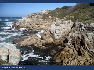 Cantís no seo de Niñóns
 