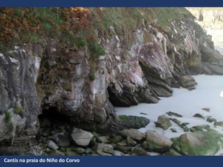Cantís na praia do Niño do Corvo
 