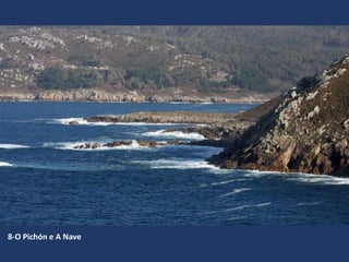 8-O Pichón e A Nave
 