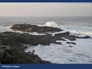 O Pichón e A Nave
 