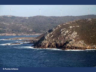 9-Punta Arbosa
 