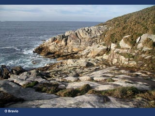 O Bravío
 