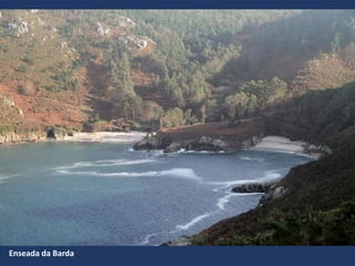 Enseada da Barda
 