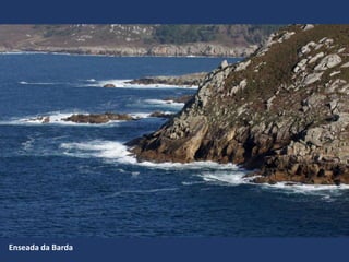 Enseada da Barda
 