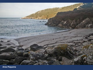 Area Pequena
 