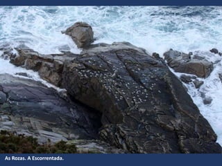 As Rozas. A Escorrentada.
 