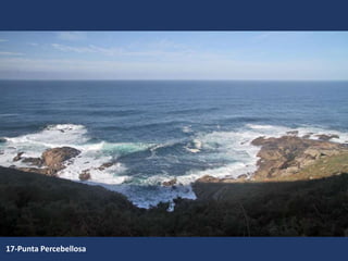 17-Punta Percebellosa
 