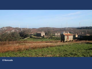 O Roncudo
 