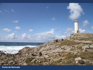 Punta do Roncudo
 