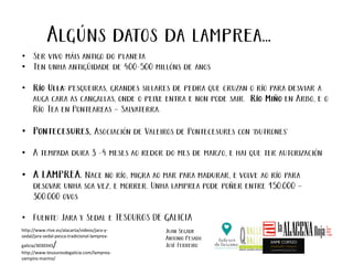 •
•
•
•
•
•
•
http://www.rtve.es/alacarta/videos/jara-y-
sedal/jara-sedal-pesca-tradicional-lamprea-
galicia/3030343/
http://www.tesourosdegalicia.com/lamprea-
vampiro-marino/
 