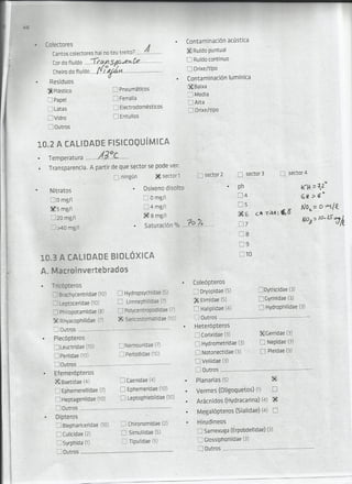 Ponte da pousada maio 2014