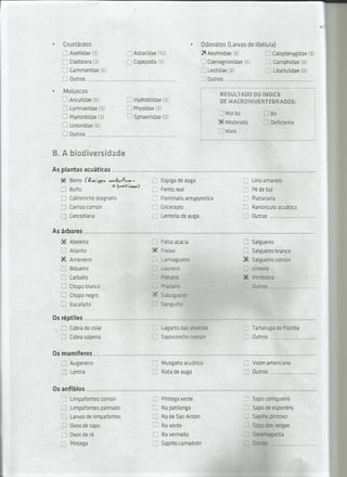 Ponte da pousada maio 2014