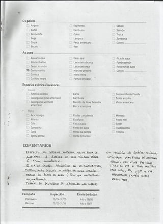 Ponte da pousada maio 2014