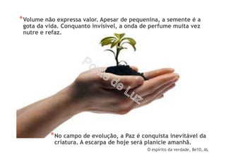 *Volume não expressa valor. Apesar de pequenina, a semente é a
gota da vida. Conquanto invisível, a onda de perfume muita vez
nutre e refaz.
*No campo de evolução, a Paz é conquista inevitável da
criatura. A escarpa de hoje será planície amanhã.
O espírito da verdade, 8e10, AL
 
