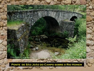 Ponte de São João do Campo sobre o Rio Homem
 