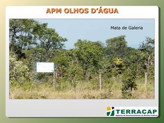 APM OLHOS D’ÁGUA Mata de Galeria 