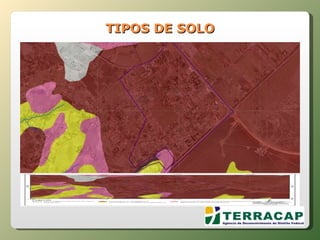 TIPOS DE SOLO 