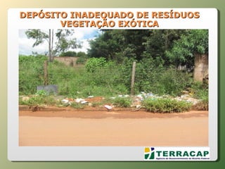 DEPÓSITO INADEQUADO DE RESÍDUOS VEGETAÇÃO EXÓTICA 