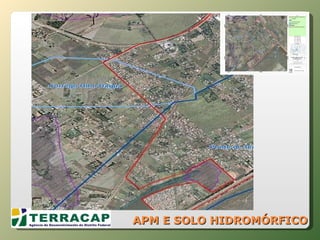APM E SOLO HIDROMÓRFICO 