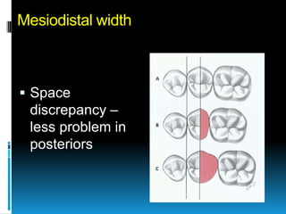 Mesiodistal width



 Space
 discrepancy –
 less problem in
 posteriors
 