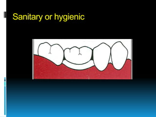 Sanitary or hygienic
 