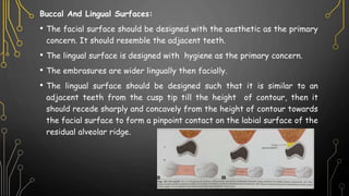 Buccal And Lingual Surfaces:
• The facial surface should be designed with the aesthetic as the primary
concern. It should resemble the adjacent teeth.
• The lingual surface is designed with hygiene as the primary concern.
• The embrasures are wider lingually then facially.
• The lingual surface should be designed such that it is similar to an
adjacent teeth from the cusp tip till the height of contour, then it
should recede sharply and concavely from the height of contour towards
the facial surface to form a pinpoint contact on the labial surface of the
residual alveolar ridge.
 