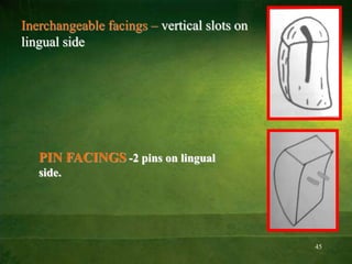 45
Inerchangeable facings – vertical slots on
lingual side
PIN FACINGS -2 pins on lingual
side.
 