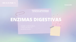 27 de Enero del 2022


BIOQUIMICA
PONTIFICIA UNIVERSIDAD
CATÓLICA DEL ECUADOR


ENZIMAS DIGESTIVAS
NOMBRE: MAYRA MURILLO
CURSO: 1ER NIVEL "A"
MG.HÍTALO PUCHA
 