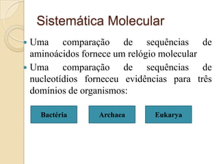 Sistemática Molecular
 Uma comparação de sequências de
  aminoácidos fornece um relógio molecular
 Uma     comparação de sequências de
  nucleotídios forneceu evidências para três
  domínios de organismos:

    Bactéria     Archaea      Eukarya
 