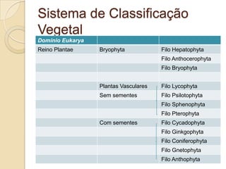 Sistema de Classificação
Vegetal
Domínio Eukarya
Reino Plantae     Bryophyta            Filo Hepatophyta
                                       Filo Anthocerophyta
                                       Filo Bryophyta


                  Plantas Vasculares   Filo Lycophyta
                  Sem sementes         Filo Psilotophyta
                                       Filo Sphenophyta
                                       Filo Pterophyta
                  Com sementes         Filo Cycadophyta
                                       Filo Ginkgophyta
                                       Filo Coniferophyta
                                       Filo Gnetophyta
                                       Filo Anthophyta
 