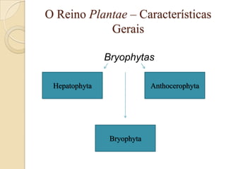 O Reino Plantae – Características
            Gerais

               Bryophytas

 Hepatophyta                Anthocerophyta




                Bryophyta
 