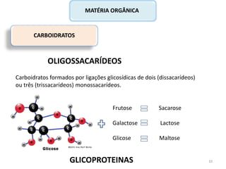 CARBOIDRATOS
MATÉRIA ORGÂNICA
OLIGOSSACARÍDEOS
Carboidratos formados por ligações glicosídicas de dois (dissacarídeos)
ou três (trissacarídeos) monossacarídeos.
Frutose Sacarose
Galactose Lactose
Glicose Maltose
GLICOPROTEINAS 10
 