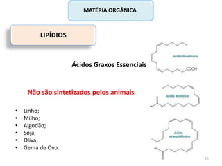LIPÍDIOS
Ácidos Graxos Essenciais
MATÉRIA ORGÂNICA
Não são sintetizados pelos animais
• Linho;
• Milho;
• Algodão;
• Soja;
• Oliva;
• Gema de Ovo.
15
 
