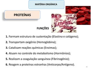 PROTEÍNAS
MATÉRIA ORGÂNICA
FUNÇÕES
1. Formam estrutura de sustentação (Elastina e colágeno);
2. Transportam oxigênio (Hemoglobina);
3. Catalisam reações químicas (Enzimas);
4. Atuam no controle do metabolismo (Hormônios);
5. Realizam a coagulação sanguínea (Fibrinogênio);
6. Reagem a proteínas estranhas (Anticorpo/Antígeno).
18
 