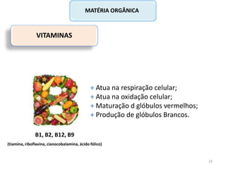 VITAMINAS
+ Atua na respiração celular;
+ Atua na oxidação celular;
+ Maturação d glóbulos vermelhos;
+ Produção de glóbulos Brancos.
MATÉRIA ORGÂNICA
B1, B2, B12, B9
(tiamina, riboflavina, cianocobalamina, ácido fólico)
23
 