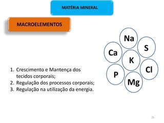 MACROELEMENTOS
Ca
P
Na
Cl
K
Mg
S
MATÉRIA MINERAL
1. Crescimento e Mantença dos
tecidos corporais;
2. Regulação dos processos corporais;
3. Regulação na utilização da energia.
25
 