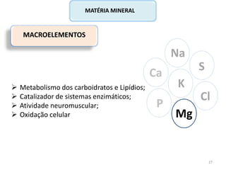 MACROELEMENTOS
Ca
P
Na
Cl
K
Mg
S
MATÉRIA MINERAL
 Metabolismo dos carboidratos e Lipídios;
 Catalizador de sistemas enzimáticos;
 Atividade neuromuscular;
 Oxidação celular
27
 