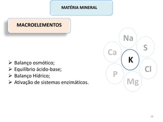 MACROELEMENTOS
Ca
P
Na
Cl
K
Mg
S
MATÉRIA MINERAL
 Balanço osmótico;
 Equilíbrio ácido-base;
 Balanço Hídrico;
 Ativação de sistemas enzimáticos.
28
 
