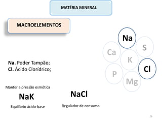 MACROELEMENTOS
Ca
P
Na
Cl
K
Mg
S
MATÉRIA MINERAL
Na. Poder Tampão;
Cl. Ácido Clorídrico;
NaK NaCl
Regulador de consumo
Manter a pressão osmótica
Equilíbrio ácido-base
29
 