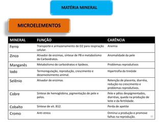 MICROELEMENTOS
MATÉRIA MINERAL
MINERAL FUNÇÃO CARÊNCIA
Ferro Transporte e armazenamento de O2 para respiração
celular.
Anemia
Zinco Ativador de enzimas, síntese de PB e metabolismo
de Carboidratos.
Anomalidade da pele
Manganês Metabolismo de carboidratos e lipídeos. Problemas reprodutivos
Iodo Termoregulação, reprodução, crescimento e
desenvolvimento animal.
Hipertrofia da tireóide
Selênio Ativador de enzimas Retenção de placenta, diarréia,
redução no crescimento e
problemas reprodutivos.
Cobre Síntese de hemoglobina, pigmentação de pele e
pelos.
Pele e pêlos despigmentados,
diarréias, queda na produção de
leite e da fertilidade.
Cobalto Síntese de vit. B12. Perda de apetite
Cromo Anti-stress Diminui a produção e promove
falhas na reprodução. 31
 