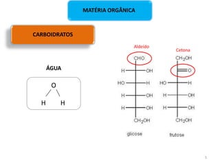 CARBOIDRATOS
MATÉRIA ORGÂNICA
O
H H
ÁGUA
Aldeído
Cetona
5
 