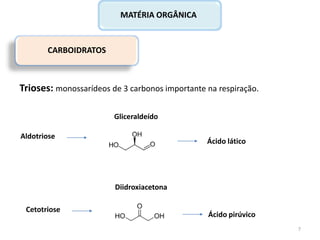 CARBOIDRATOS
MATÉRIA ORGÂNICA
Trioses: monossarídeos de 3 carbonos importante na respiração.
Gliceraldeído
Ácido lático
Diidroxiacetona
Ácido pirúvico
Aldotriose
Cetotriose
7
 