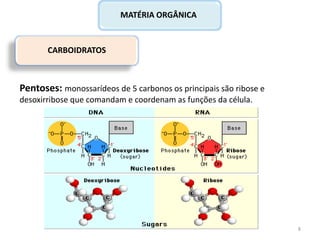 CARBOIDRATOS
MATÉRIA ORGÂNICA
Pentoses: monossarídeos de 5 carbonos os principais são ribose e
desoxirribose que comandam e coordenam as funções da célula.
8
 