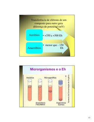 13
Transferência de elétrons de um
composto para outro gera
diferença de potencial (mV)
• +350 a +500 Eh
Aeróbios
• menor que - 150
Eh
Anaeróbios
 