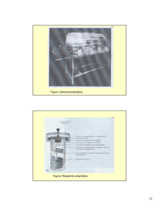 21
Figura: Câmara Anaeróbica
Figura: Recipiente anaeróbico
 