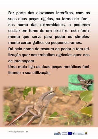 Faz parte das alavancas interfixas, com as
suas duas peças rígidas, na forma de lâmi-
nas numa das extremidades, a poderem
oscilar em torno de um eixo fixo, esta ferra-
menta que serve para podar ou simples-
mente cortar galhos ou pequenos ramos.
Dá pelo nome de tesoura de podar e tem uti-
lização quer nos trabalhos agrícolas quer nos
de jardinagem.
Uma mola liga as duas peças metálicas faci-
litando a sua utilização.
Dai-meumpontodeapoio - 14-
 